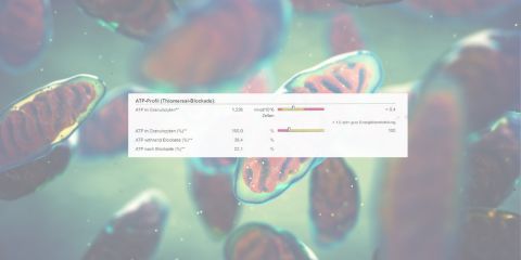 mitochondriendiagnostik